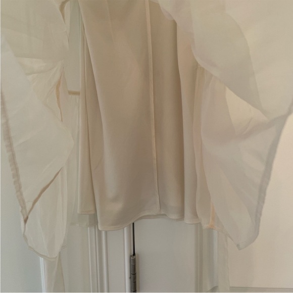 Danielle Bernstein Cream Tulle Mini Dress - Picture 5 of 5